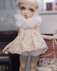 ED6054