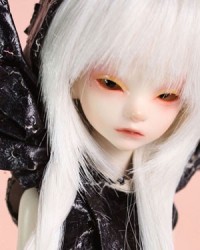 1/4 Bella Head 1/4 Bella Head