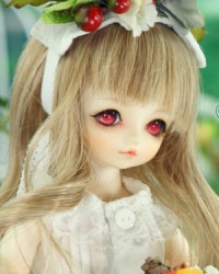 25cm Wei Xue Head 25cm Wei Xue Head