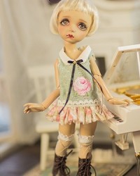 ED6050