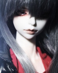 45cm Ro Head 45cm Ro Head