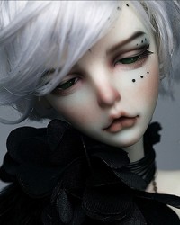 51cm Hyman Head 51cm Hyman Head