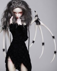 50cm Isabel Head (Discontinue on Mar. 21) 50cm Isabel Head (Discontinue on Mar. 21)