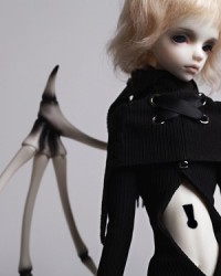 50cm Matthew Head (Discontinue on Mar. 21) 50cm Matthew Head (Discontinue on Mar. 21)