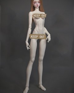DF-H 68cm Slim Girl Body