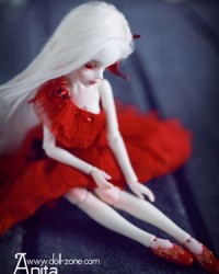 20cm Anita Head 20cm Anita Head