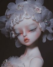 Miracle 45cm