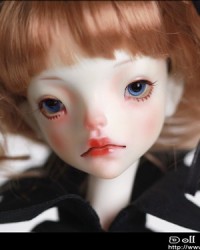 50cm Lydia Head (Discontinue on Mar. 21) 50cm Lydia Head (Discontinue on Mar. 21)