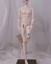 Doll Body