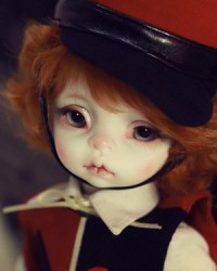 25cm Gino Head 25cm Gino Head
