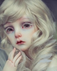 56cm Nan Head