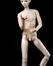 Doll Body