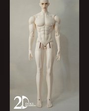 Doll Body