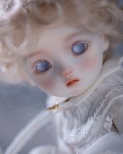 CD-BB (26cm)