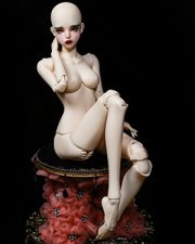 DOLL BODY