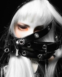 45cm Zo Head (discontinue on Jul.31) 45cm Zo Head (discontinue on Jul.31)