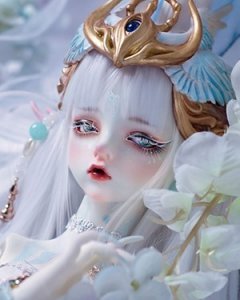 bjd doll full set