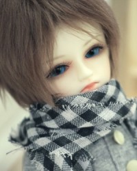 26cm Linfeng Head 26cm Linfeng Head