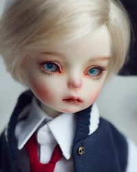 29cm Evan Head 29cm Evan Head