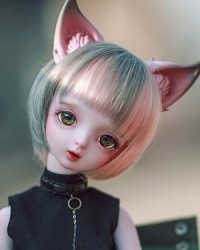 44cm Tit Head 44cm Tit Head
