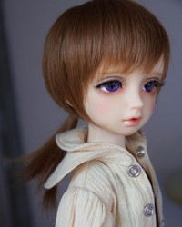 WDA4016 Brown WDA4016 Brown