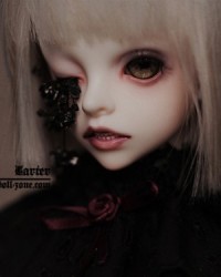 45cm Carter Head 45cm Carter Head