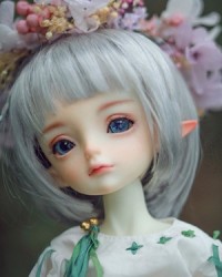 29cm Little Rain Head