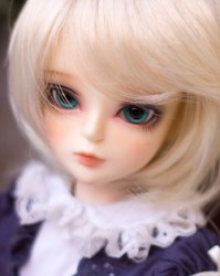 42cm An Head 42cm An Head