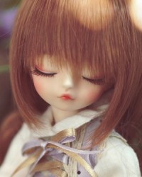 25cm Yin Wei Head 25cm Yin Wei Head