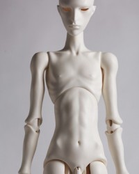 A-body-04 (71cm)