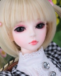 Yasha Yasha