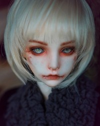 62cm NightHawk Head