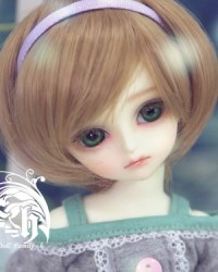 26cm Baisu Head 26cm Baisu Head