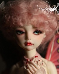 43cm Clorise Head 43cm Clorise Head