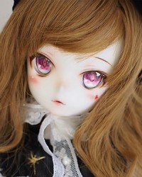 41cm Kiwi Head 41cm Kiwi Head