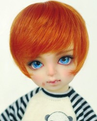 WDA6006 Carrot WDA6006 Carrot