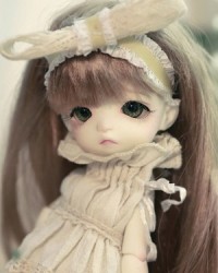 Vanilla Vanilla