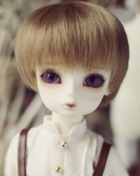 26cm Tusi Head 26cm Tusi Head