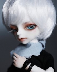 16cm Mini Mo Head 16cm Mini Mo Head