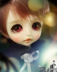 25cm Longyan Head 25cm Longyan Head