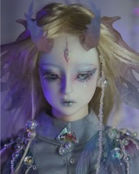 65cm Chi Zhu . Little Moth Head 65cm Chi Zhu . Little Moth Head