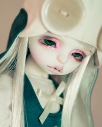 25cm Yogr Head 25cm Yogr Head