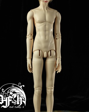 DF-H 65cm 2-part Torso Boy Body - Click Image to Close