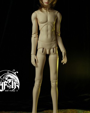 DF-H 65cm 3-part Torso Boy Body - Click Image to Close