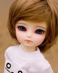 26cm Feng Ling Head 26cm Feng Ling Head