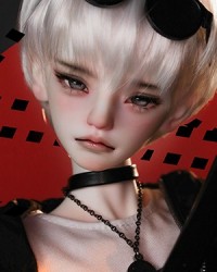 50cm KOR Head 50cm KOR Head