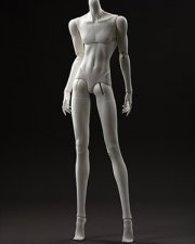Doll Body
