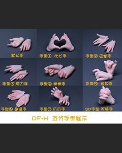 DF-H 1/5 Hands