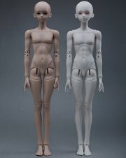 Doll Body