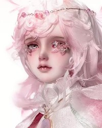 Orchid Mantis - Floris Orchid Mantis - Floris